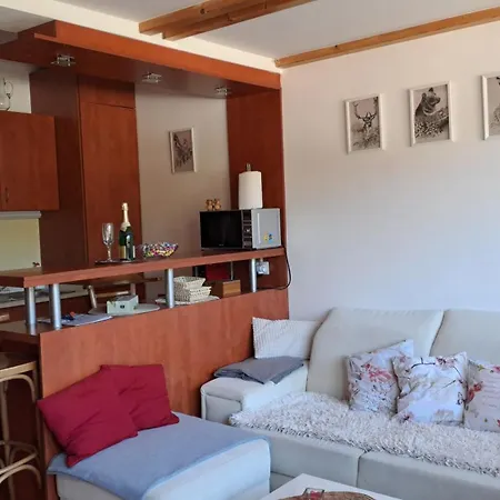 Mezonetovy V Oscadnici *