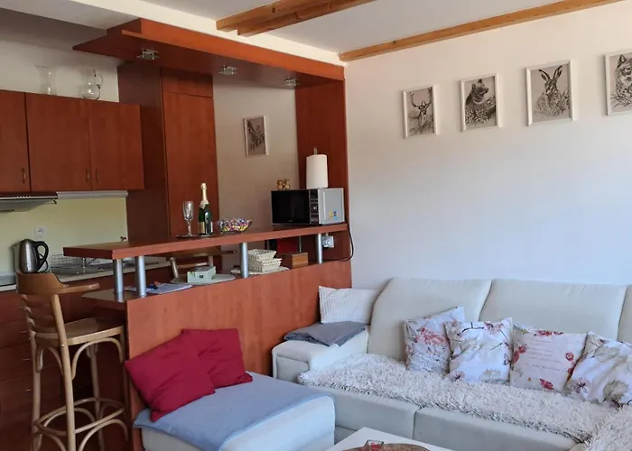 Mezonetovy V Oscadnici *